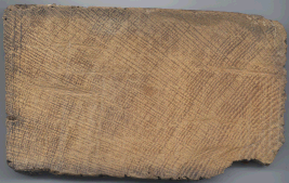 Slice of beam from St Donats, Eaton Bishop